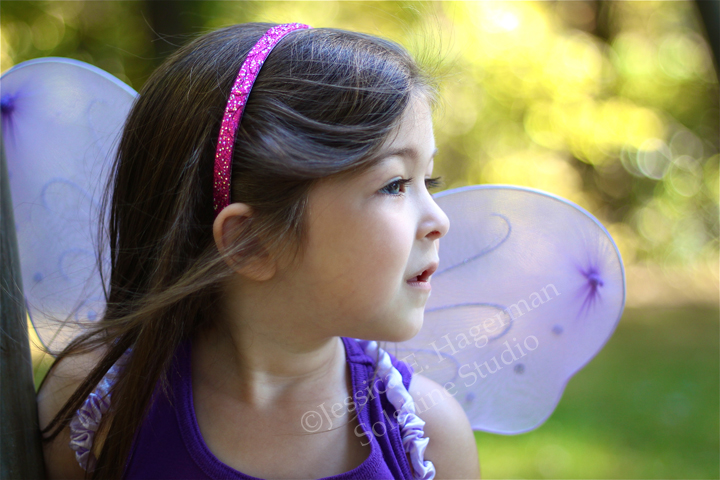 Willa butterfly