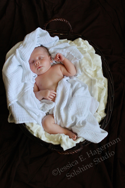 in basket
